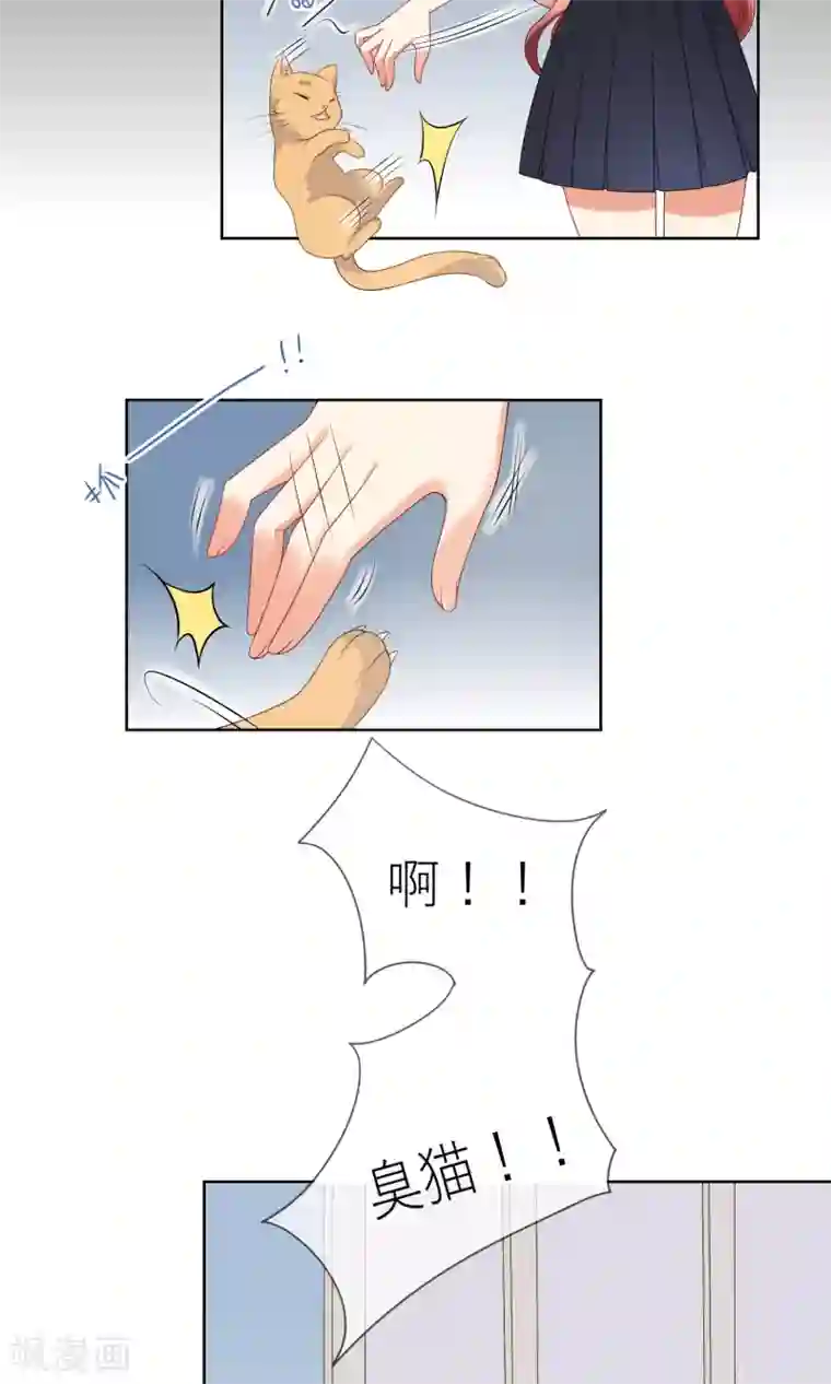 人气同桌是只猫第7话 我要弄死这些猫