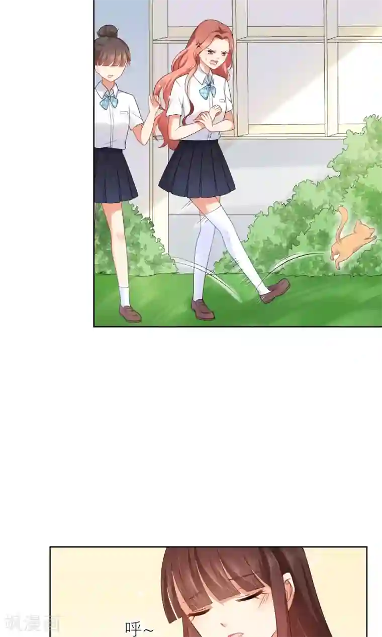 人气同桌是只猫第7话 我要弄死这些猫