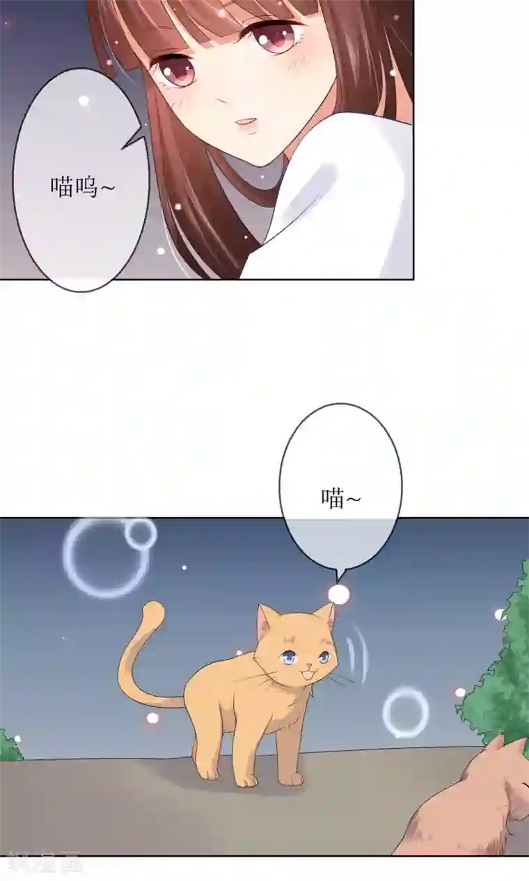 人气同桌是只猫第8话 我不想和你同桌了