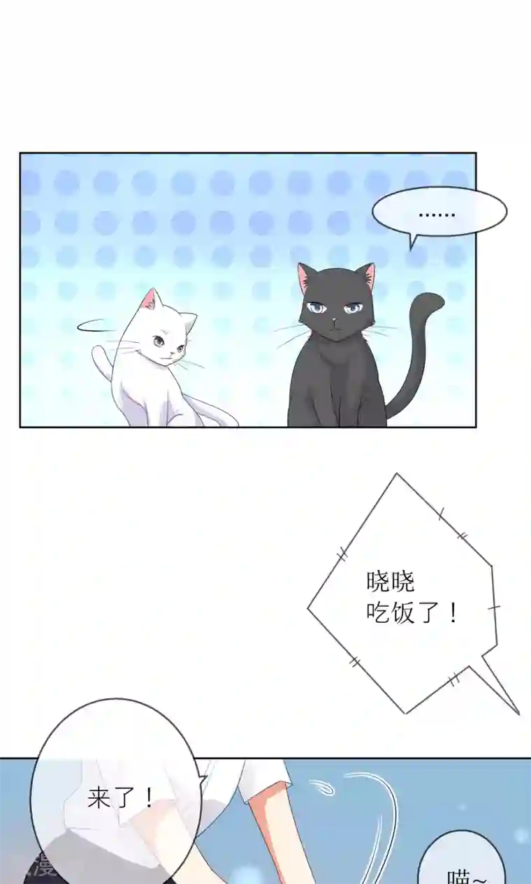 人气同桌是只猫第9话 我闻到了爱情的味道