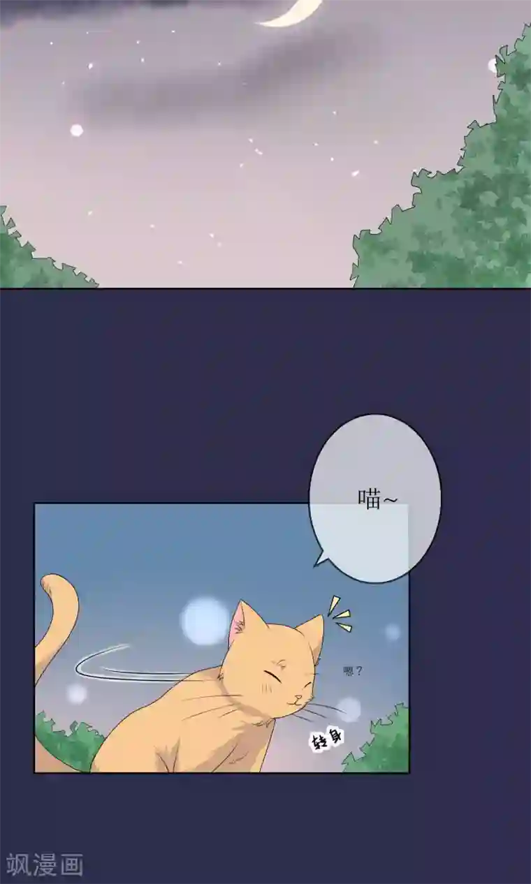 人气同桌是只猫第9话 我闻到了爱情的味道