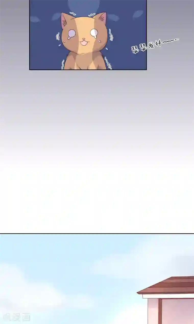 人气同桌是只猫第9话 我闻到了爱情的味道