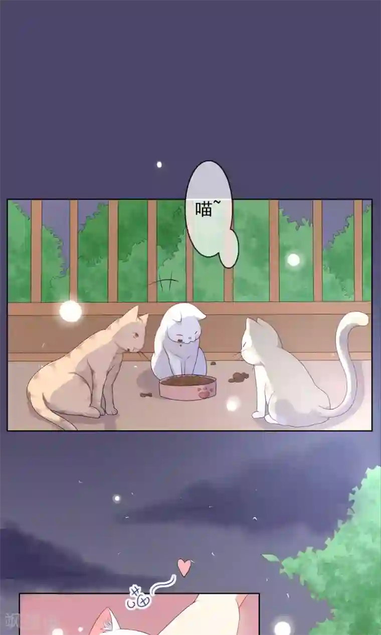 人气同桌是只猫第10话 真心与虚伪