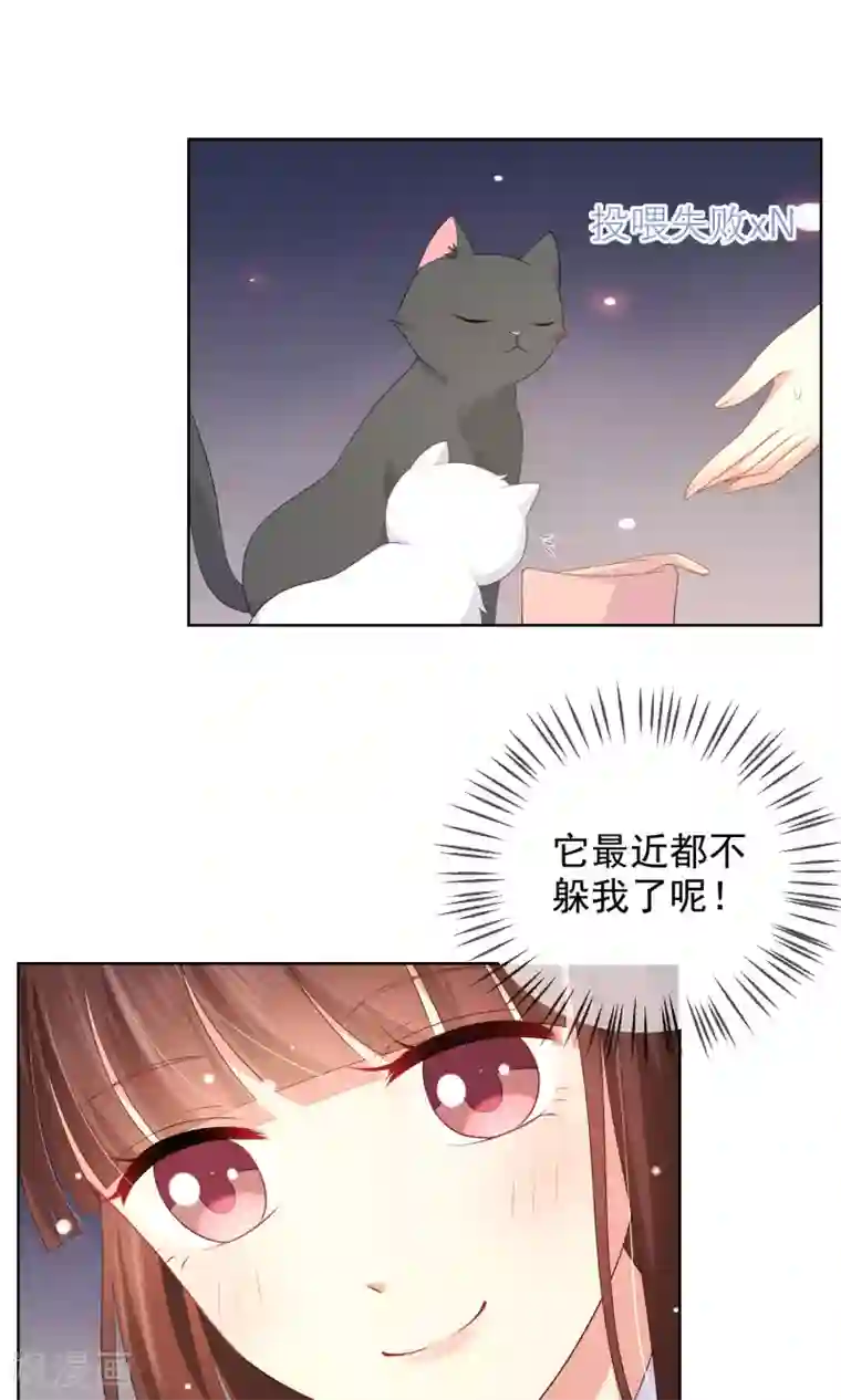 人气同桌是只猫第10话 真心与虚伪