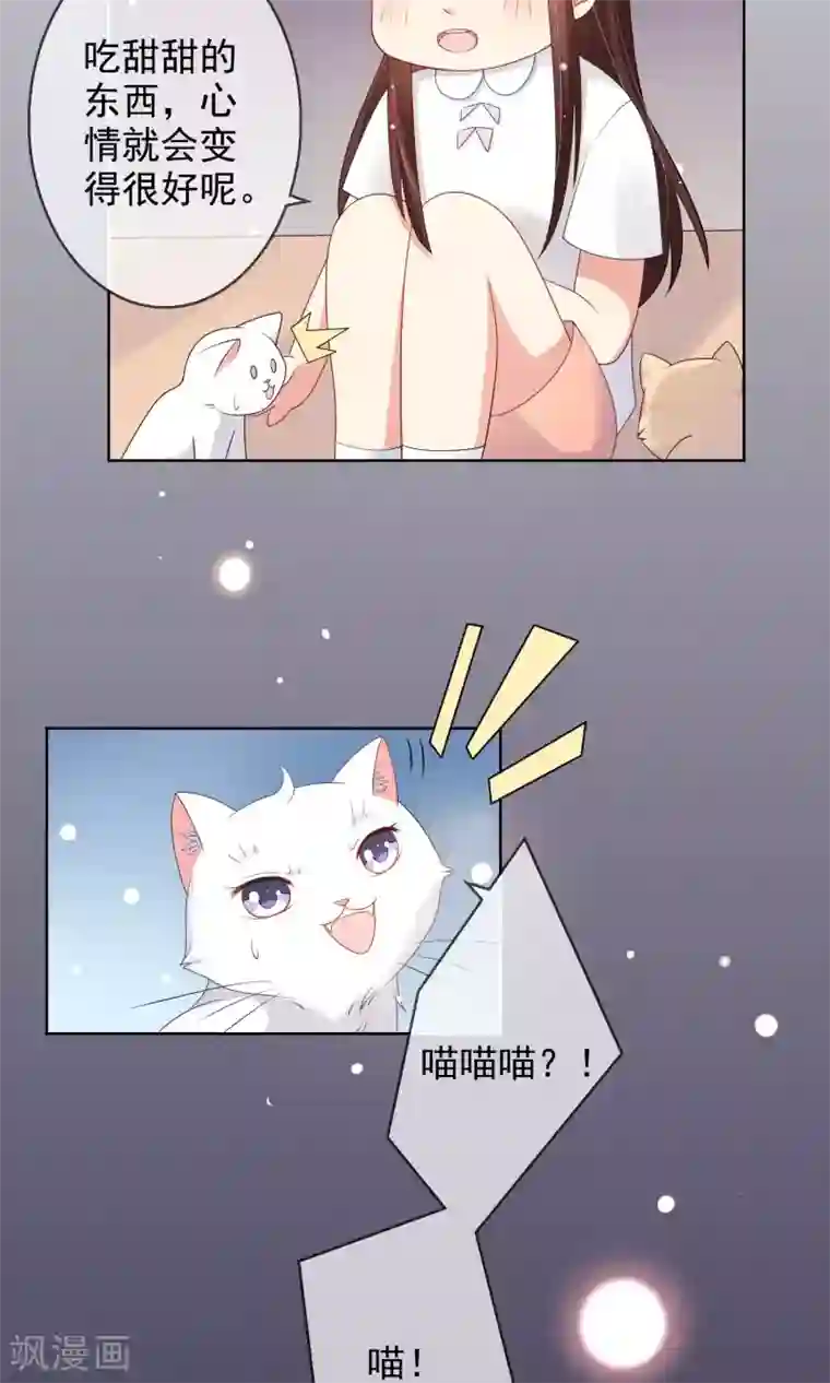 人气同桌是只猫第10话 真心与虚伪