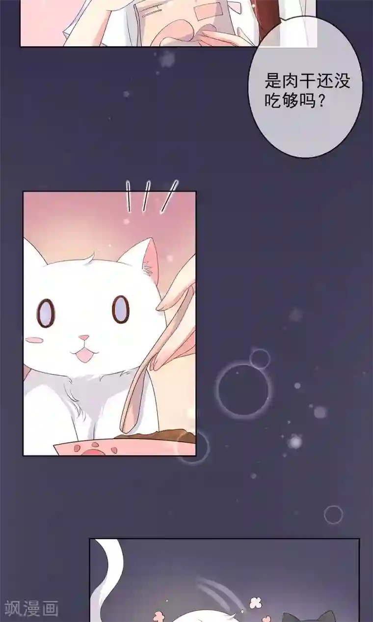 人气同桌是只猫第10话 真心与虚伪