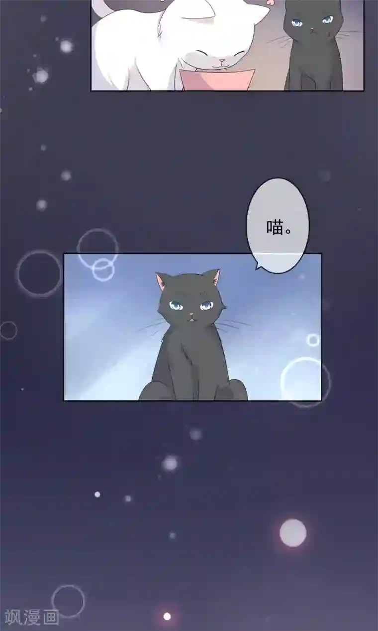 人气同桌是只猫第10话 真心与虚伪