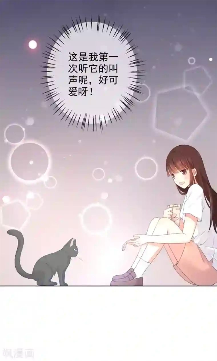 人气同桌是只猫第10话 真心与虚伪