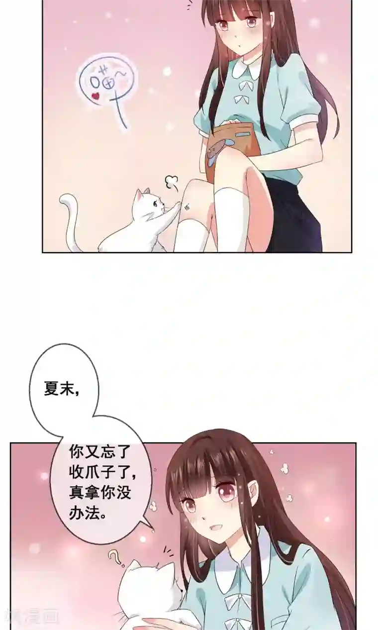 人气同桌是只猫第20话 付暖酒的秘密