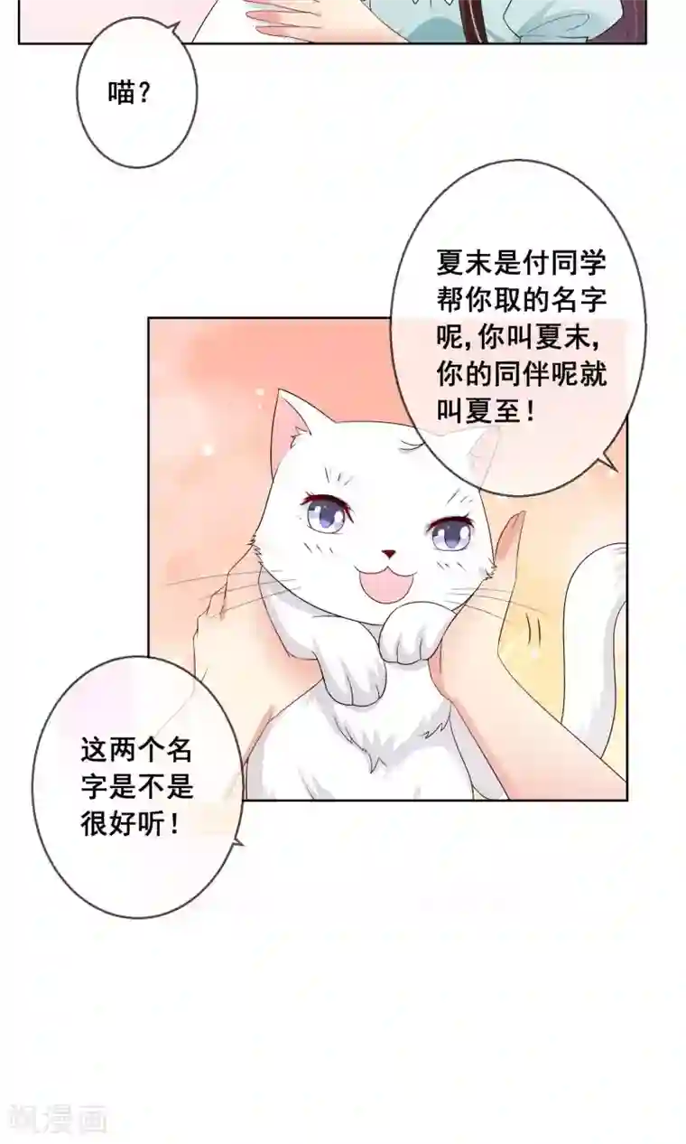 人气同桌是只猫第20话 付暖酒的秘密