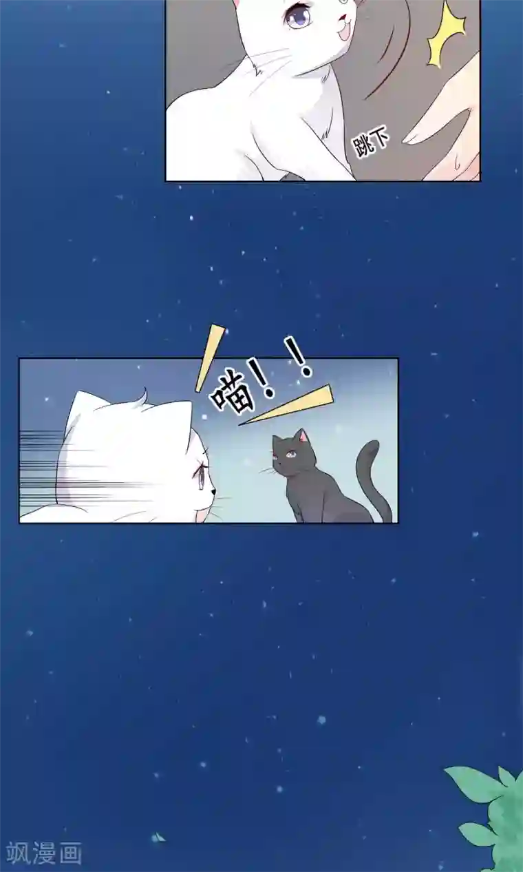 人气同桌是只猫第20话 付暖酒的秘密