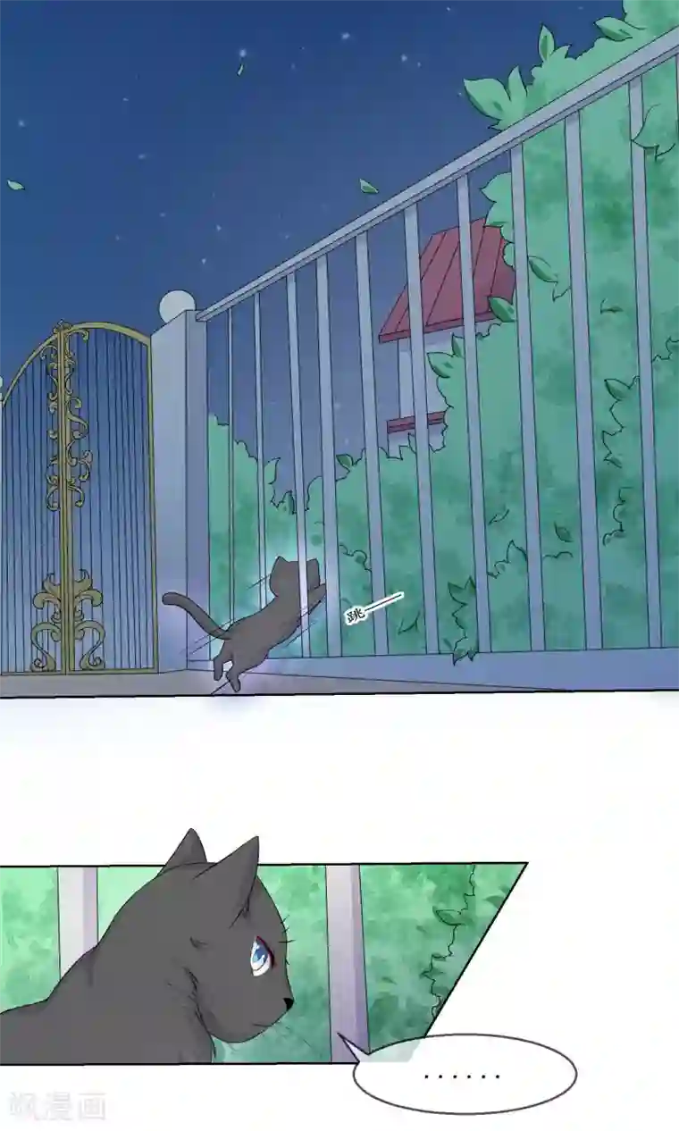 人气同桌是只猫第20话 付暖酒的秘密