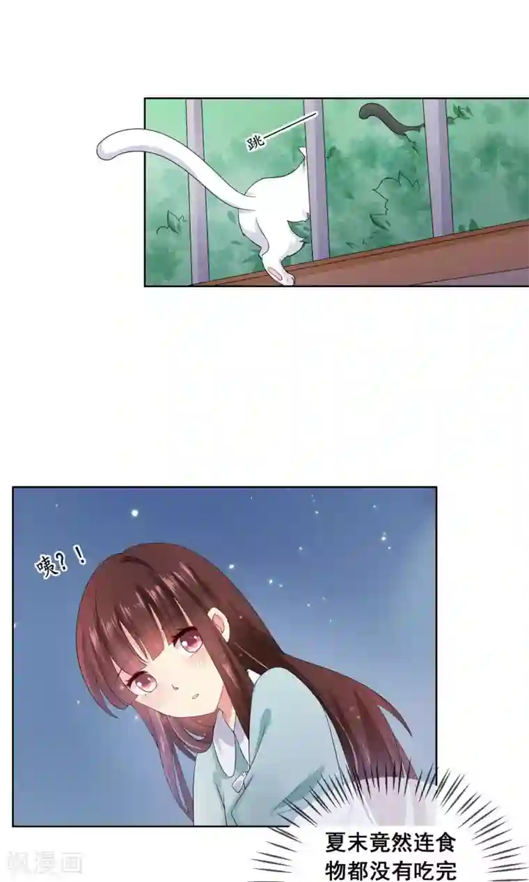 人气同桌是只猫第20话 付暖酒的秘密