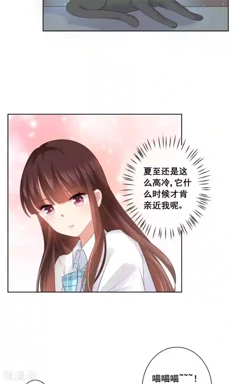 人气同桌是只猫第27话 绿茶妹的影后级演出