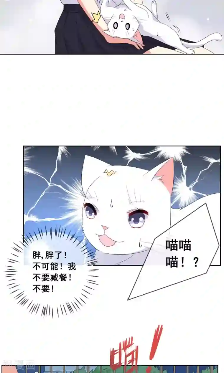 人气同桌是只猫第27话 绿茶妹的影后级演出