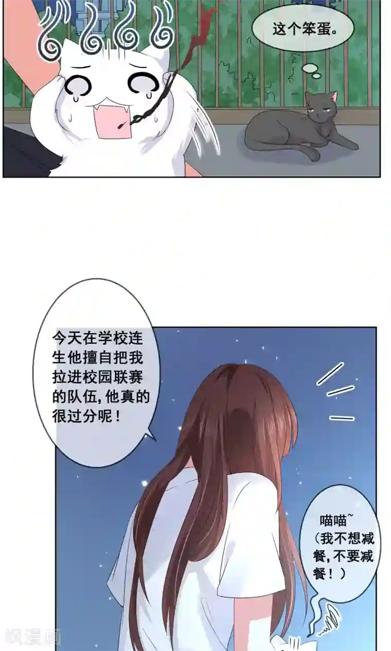 人气同桌是只猫第27话 绿茶妹的影后级演出