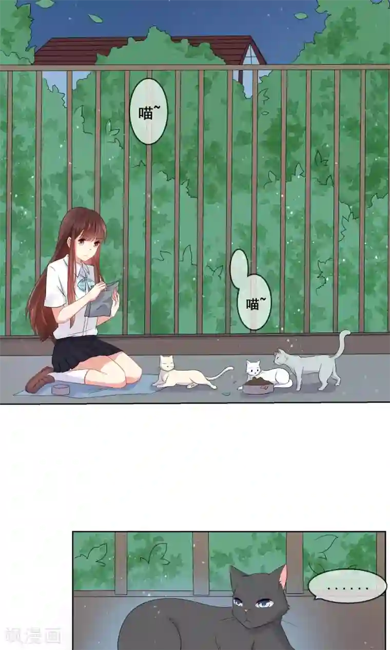 人气同桌是只猫第27话 绿茶妹的影后级演出