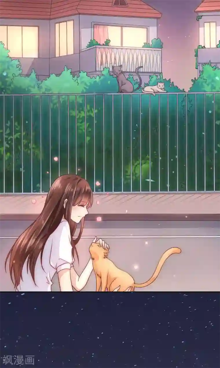 人气同桌是只猫番外1