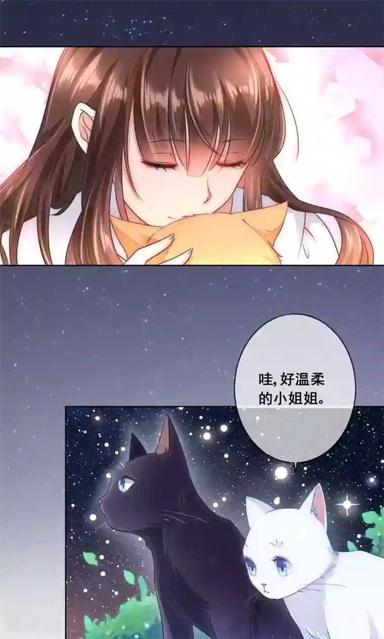 人气同桌是只猫番外1