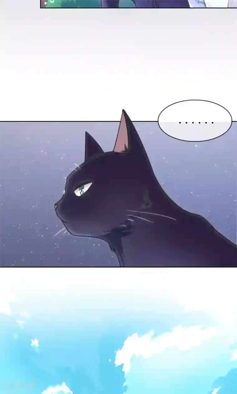 人气同桌是只猫番外1