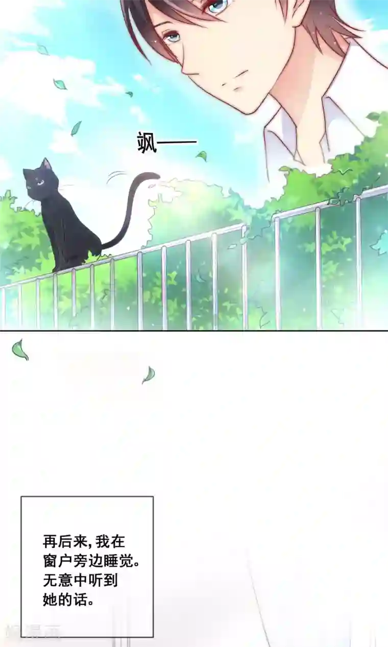 人气同桌是只猫番外1