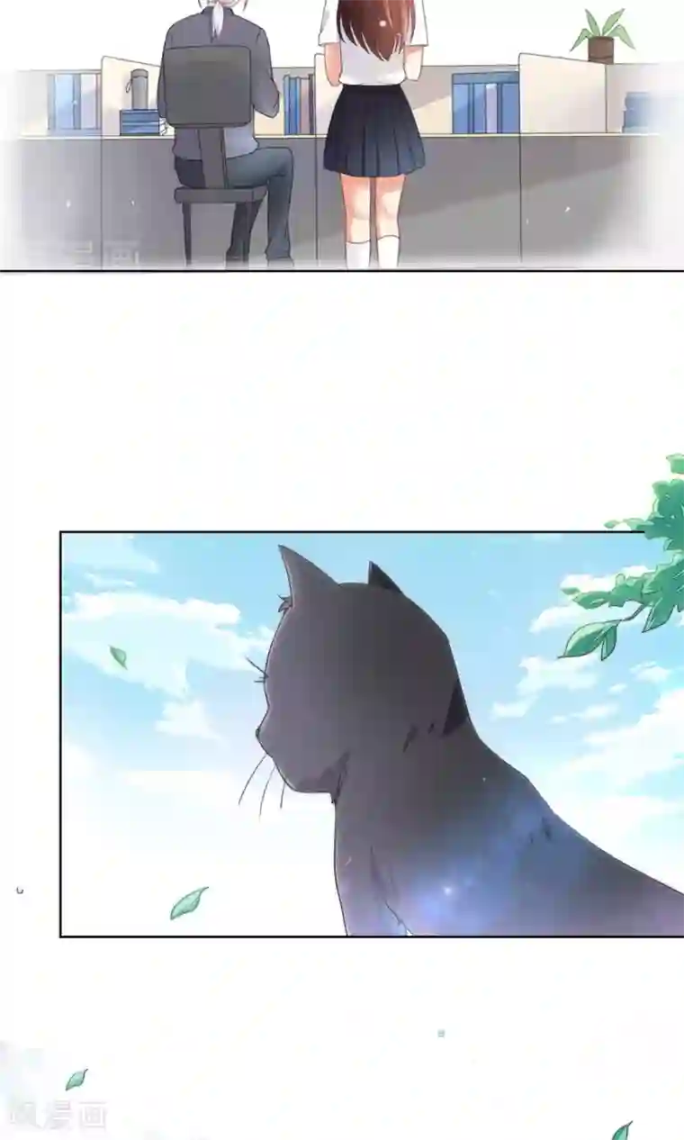 人气同桌是只猫番外1