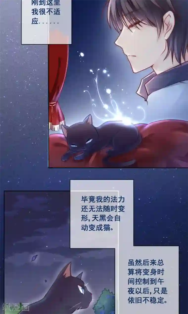 人气同桌是只猫番外1