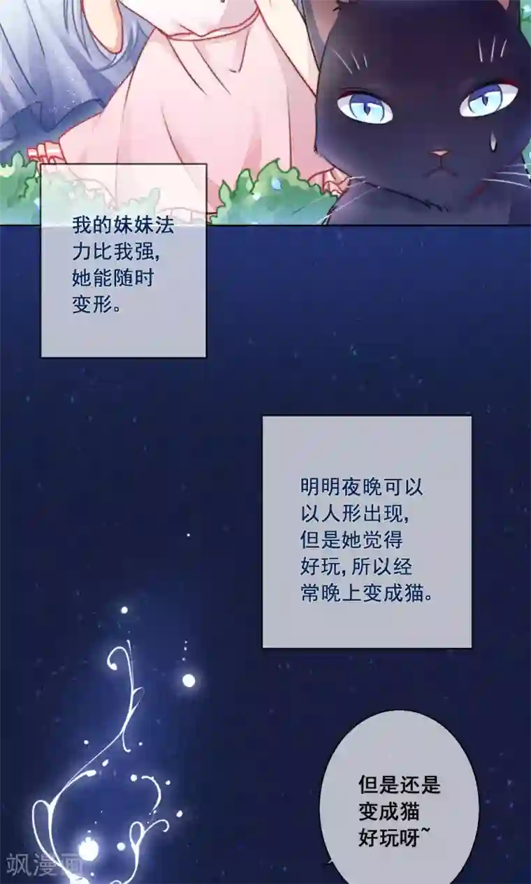 人气同桌是只猫番外1