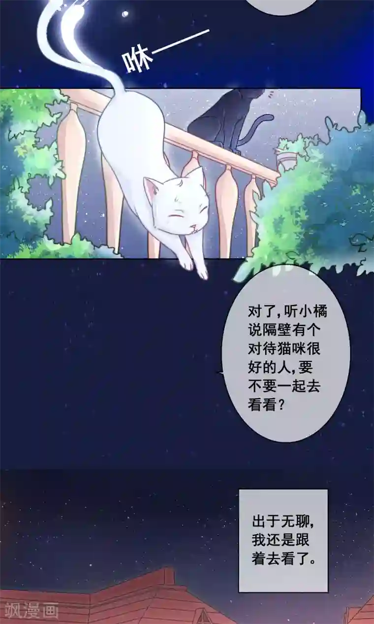 人气同桌是只猫番外1