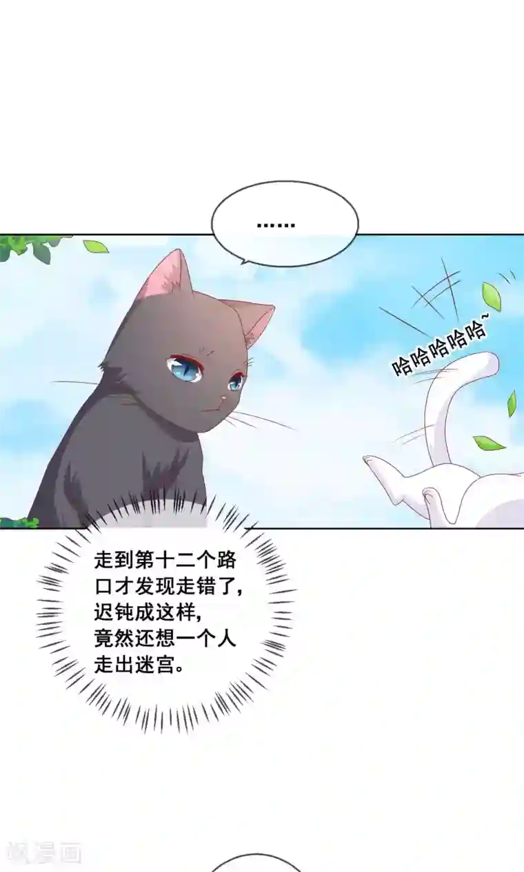 人气同桌是只猫第36话 跟着我，跟紧点儿！