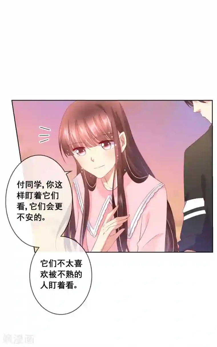 人气同桌是只猫第46话 喵咪的身份暴露了！