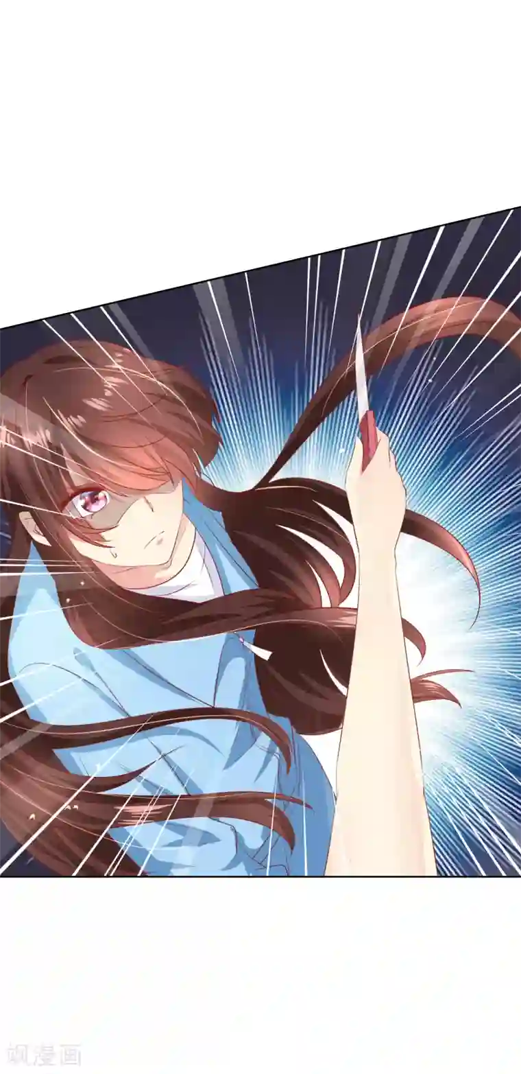 人气同桌是只猫第65话 参加猫咪选美大赛？！