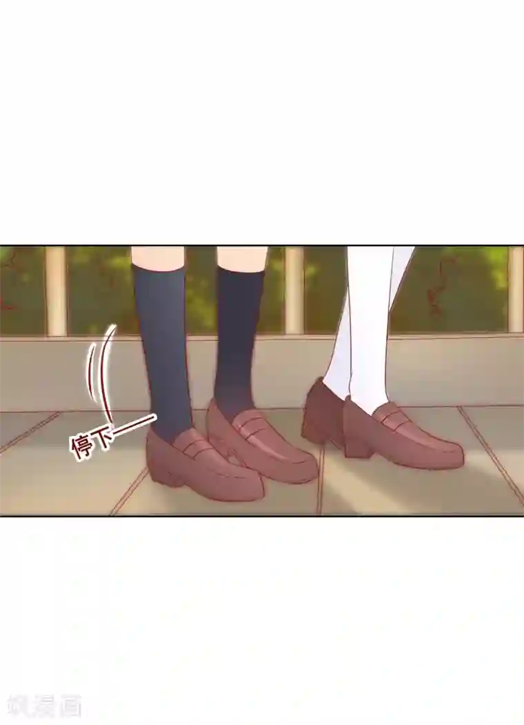 人气同桌是只猫第65话 参加猫咪选美大赛？！