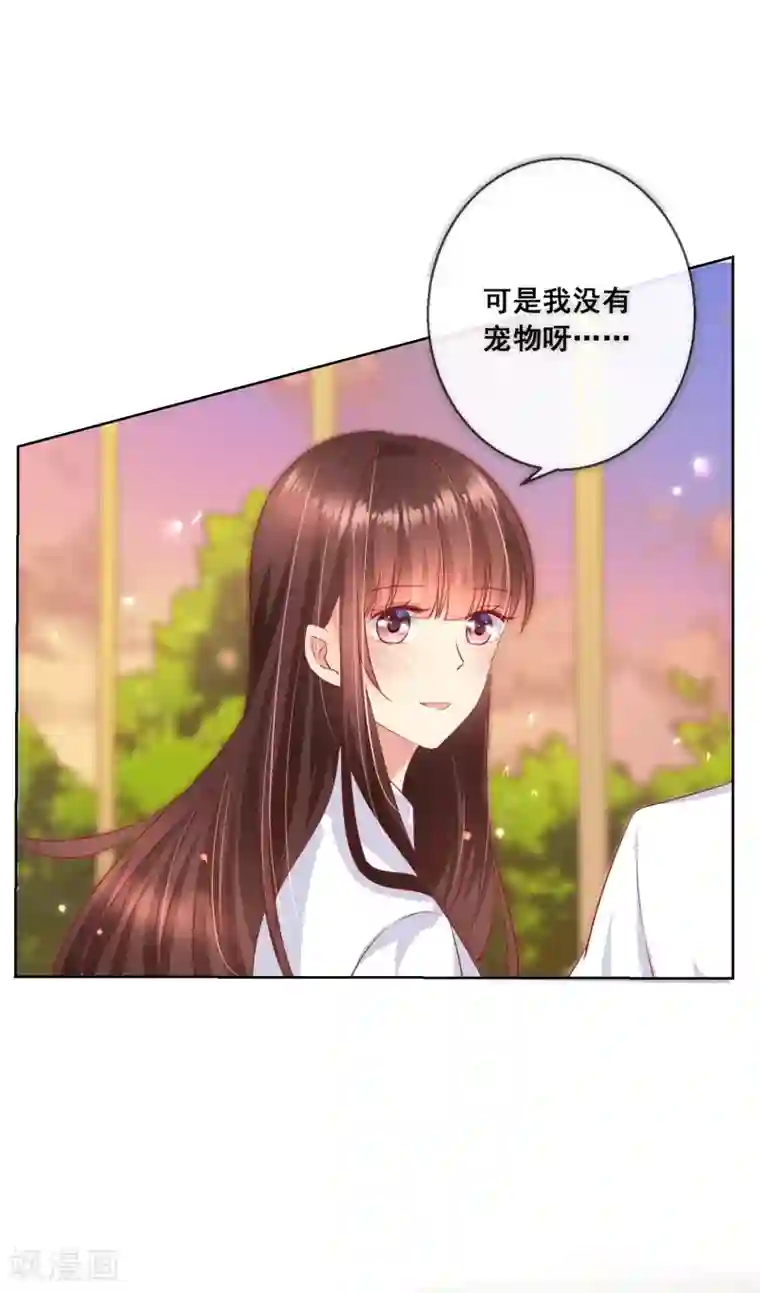 人气同桌是只猫第65话 参加猫咪选美大赛？！