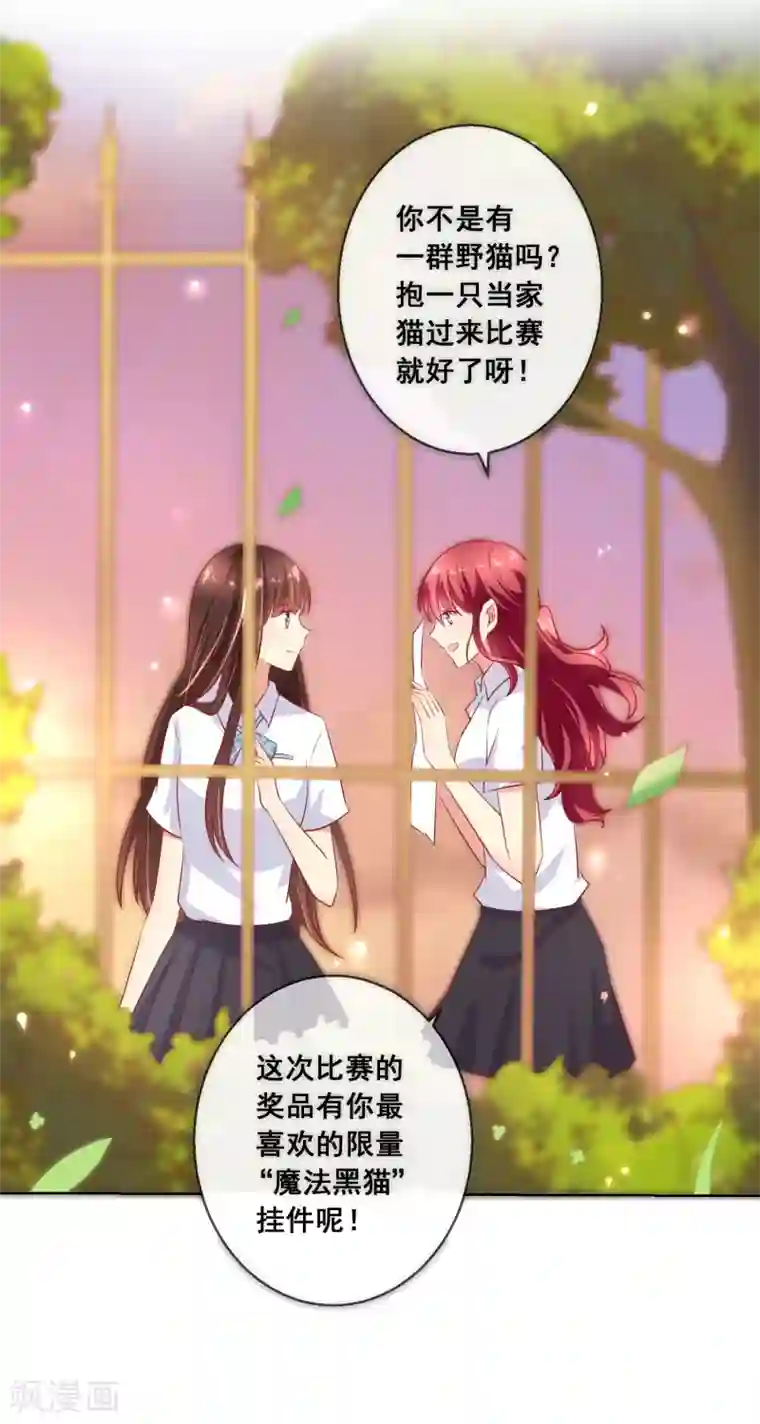 人气同桌是只猫第65话 参加猫咪选美大赛？！