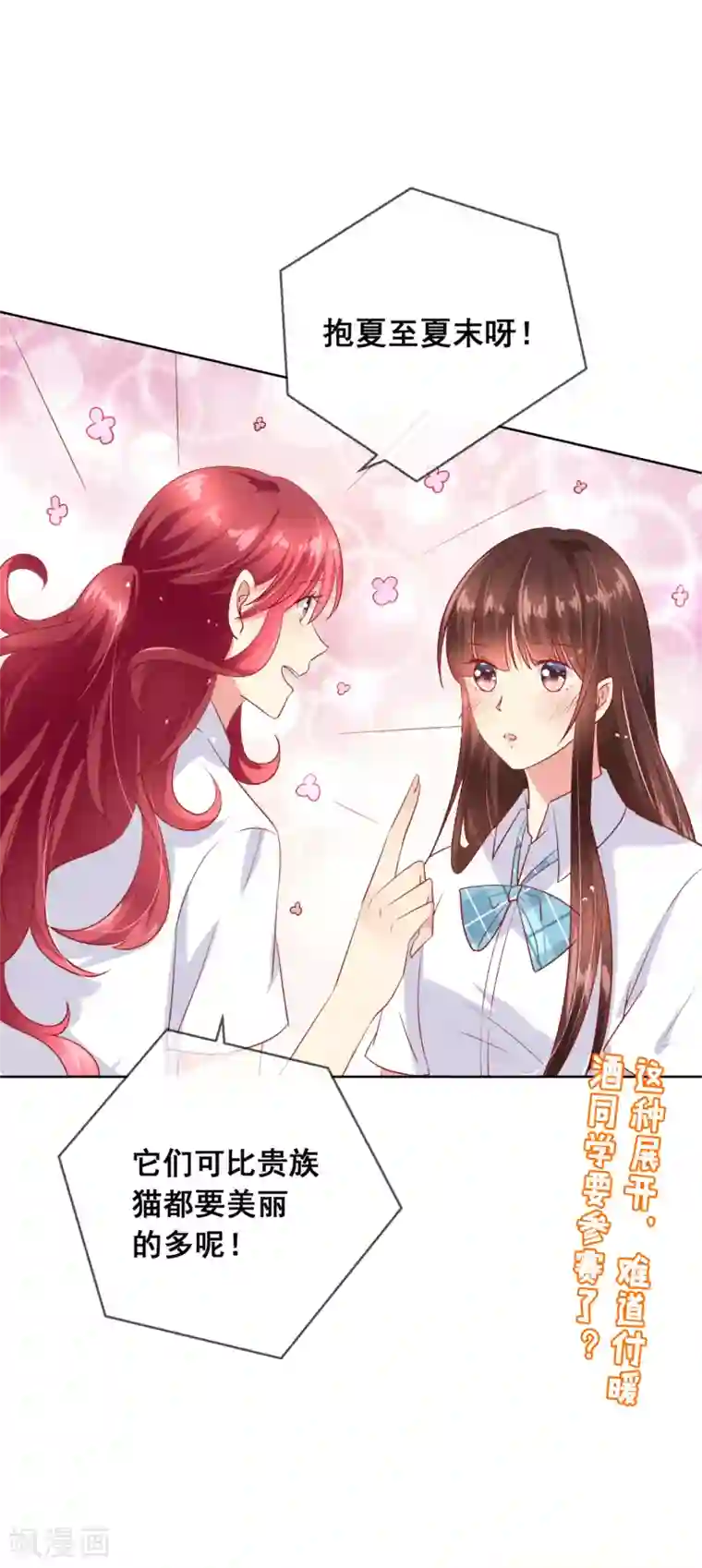 人气同桌是只猫第65话 参加猫咪选美大赛？！