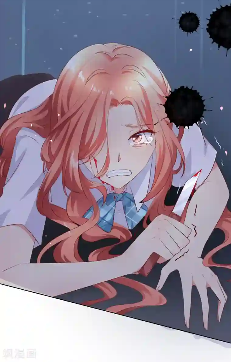 人气同桌是只猫第65话 参加猫咪选美大赛？！