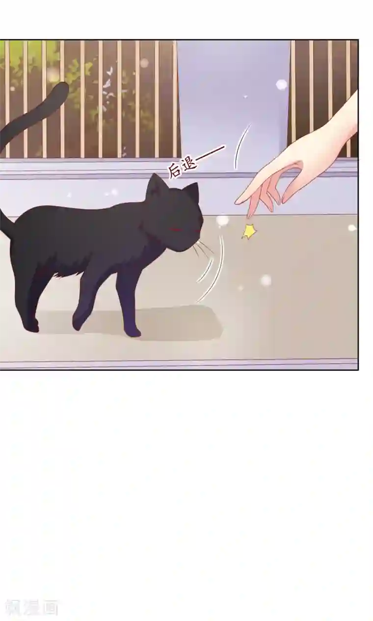 人气同桌是只猫第70话 姐妹大过天