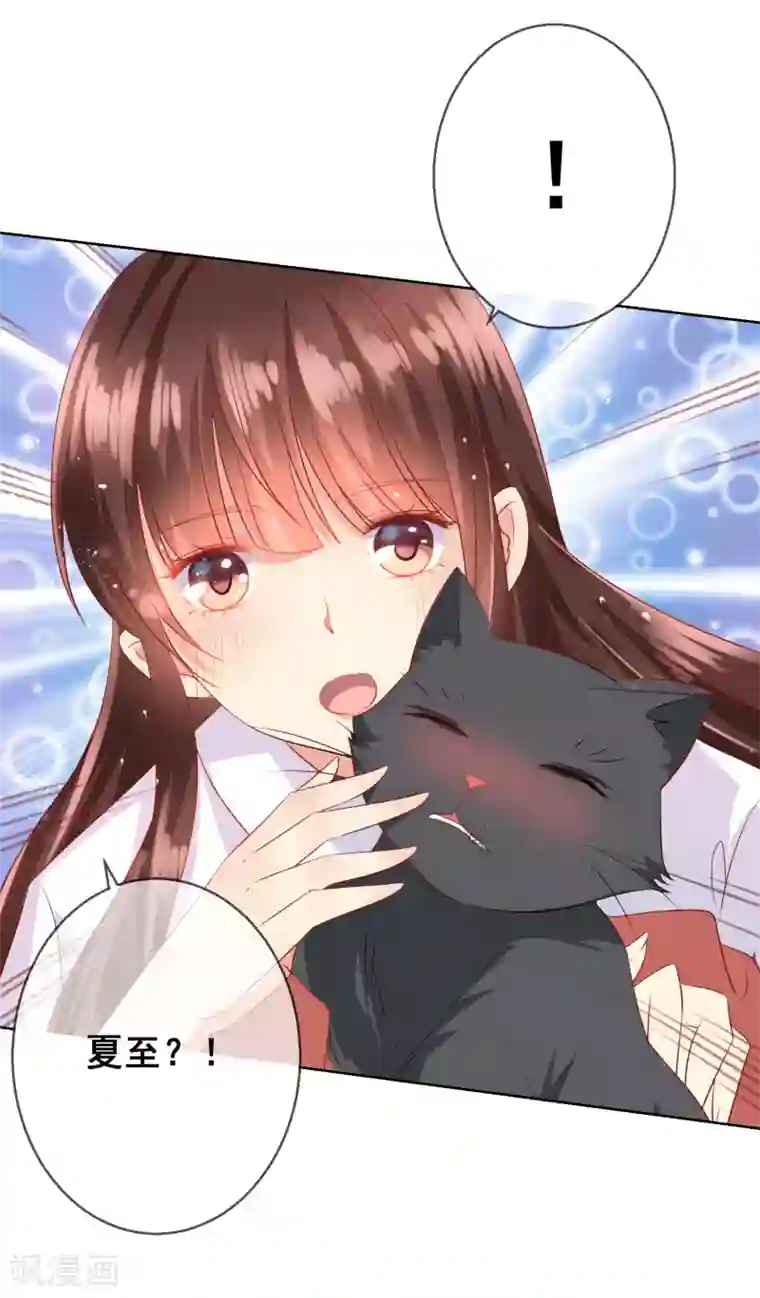 人气同桌是只猫第77话 完了，身份曝光了！