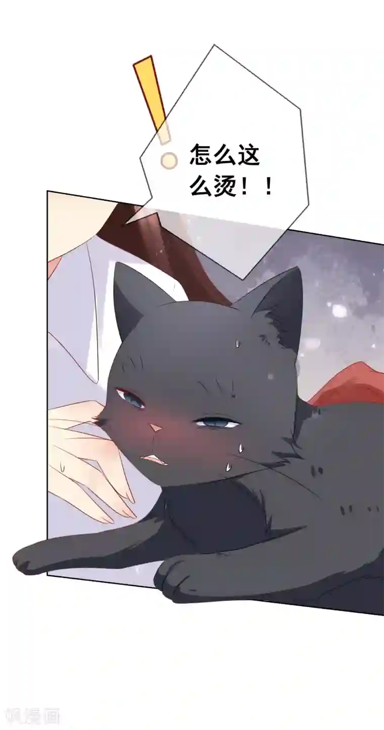 人气同桌是只猫第77话 完了，身份曝光了！