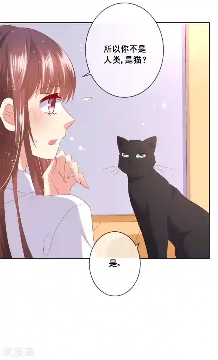 人气同桌是只猫第78话 少女心事全暴露了