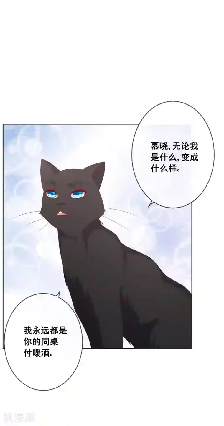 人气同桌是只猫第78话 少女心事全暴露了