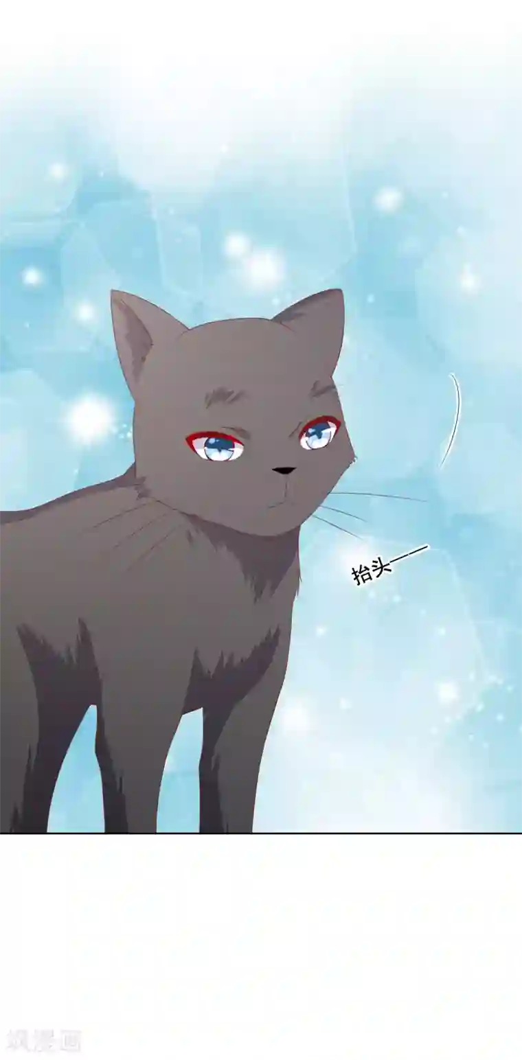 人气同桌是只猫第78话 少女心事全暴露了