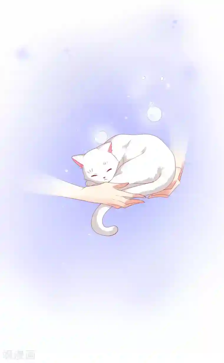 人气同桌是只猫第96话 他跟你儿子抢媳妇？！