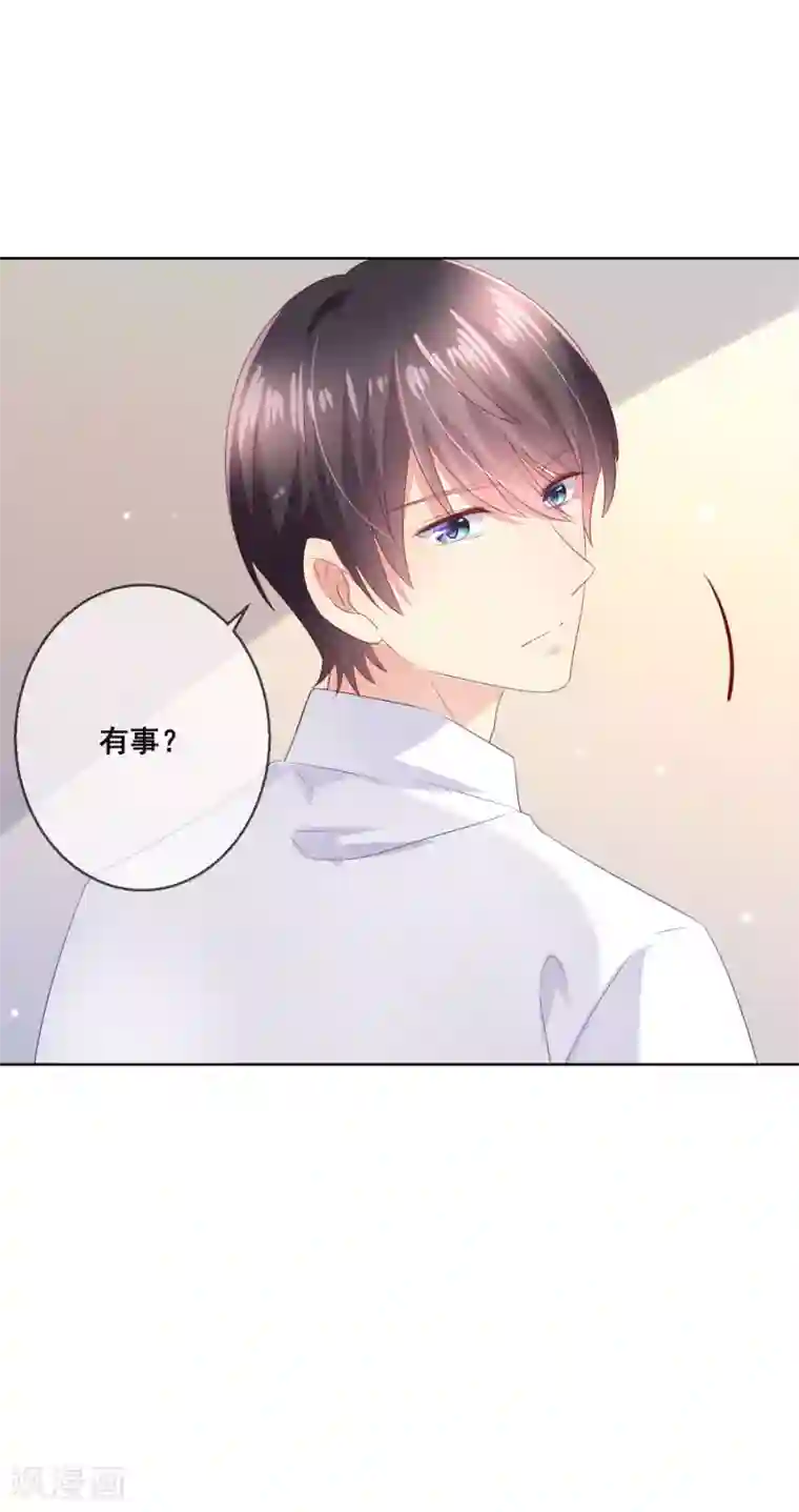 人气同桌是只猫第104话 金丝猫，公孙小姐！