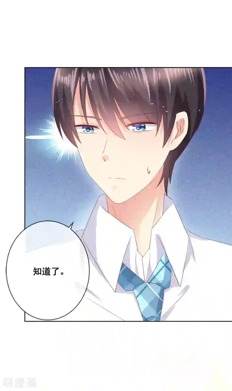 人气同桌是只猫第104话 金丝猫，公孙小姐！