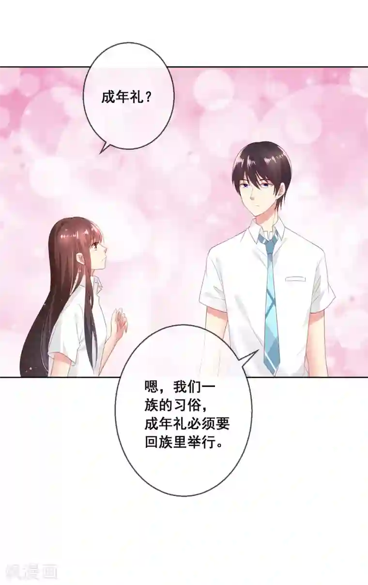 人气同桌是只猫第104话 金丝猫，公孙小姐！