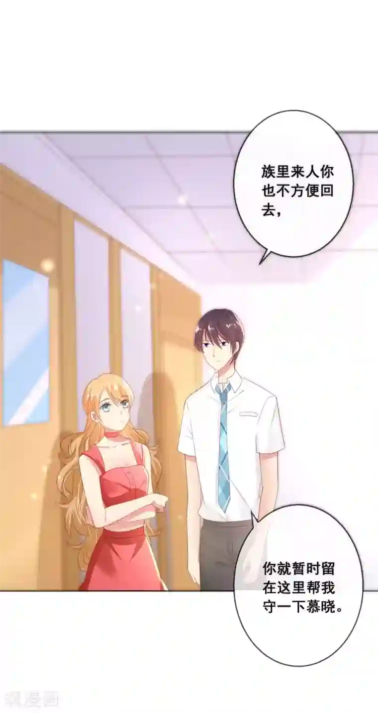 人气同桌是只猫第104话 金丝猫，公孙小姐！