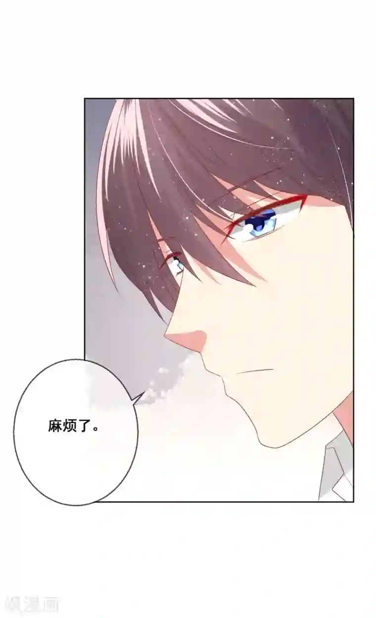 人气同桌是只猫第104话 金丝猫，公孙小姐！