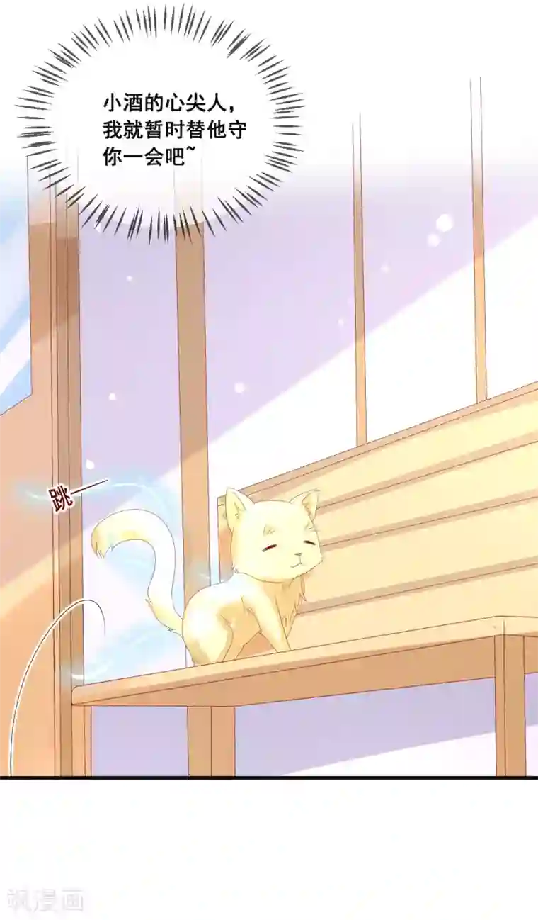 人气同桌是只猫第104话 金丝猫，公孙小姐！